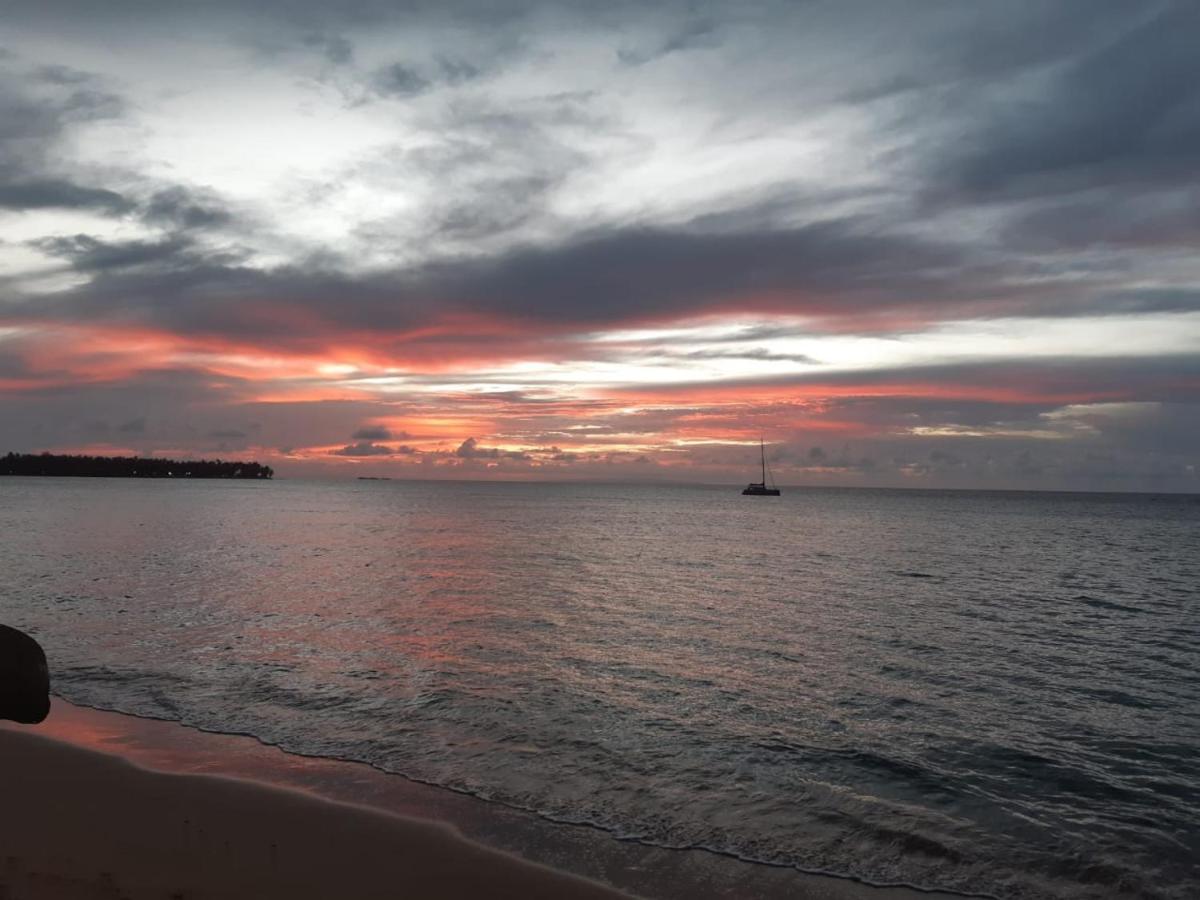 Casa merengue Las Terrenas Bagian luar foto